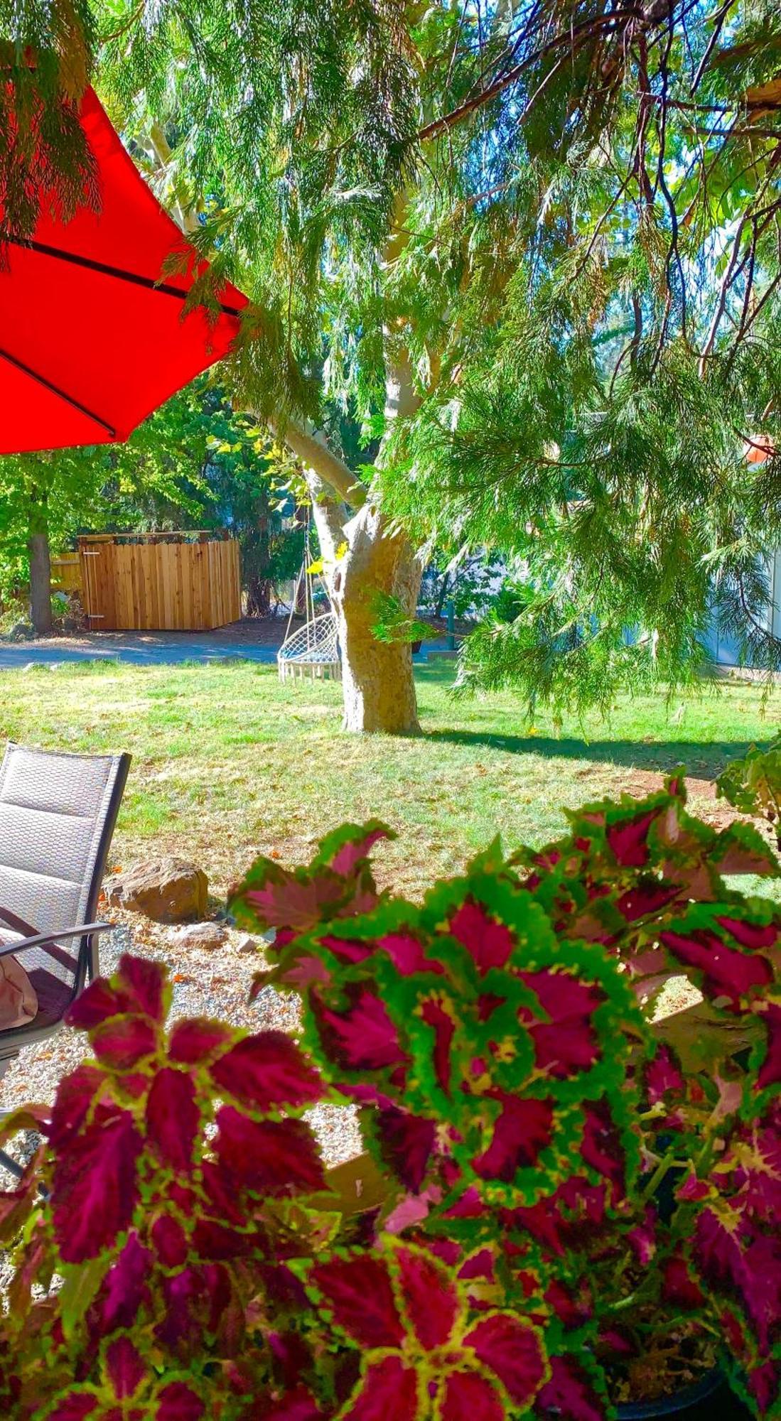 The Pines Inn And Cottages Grass Valley Esterno foto