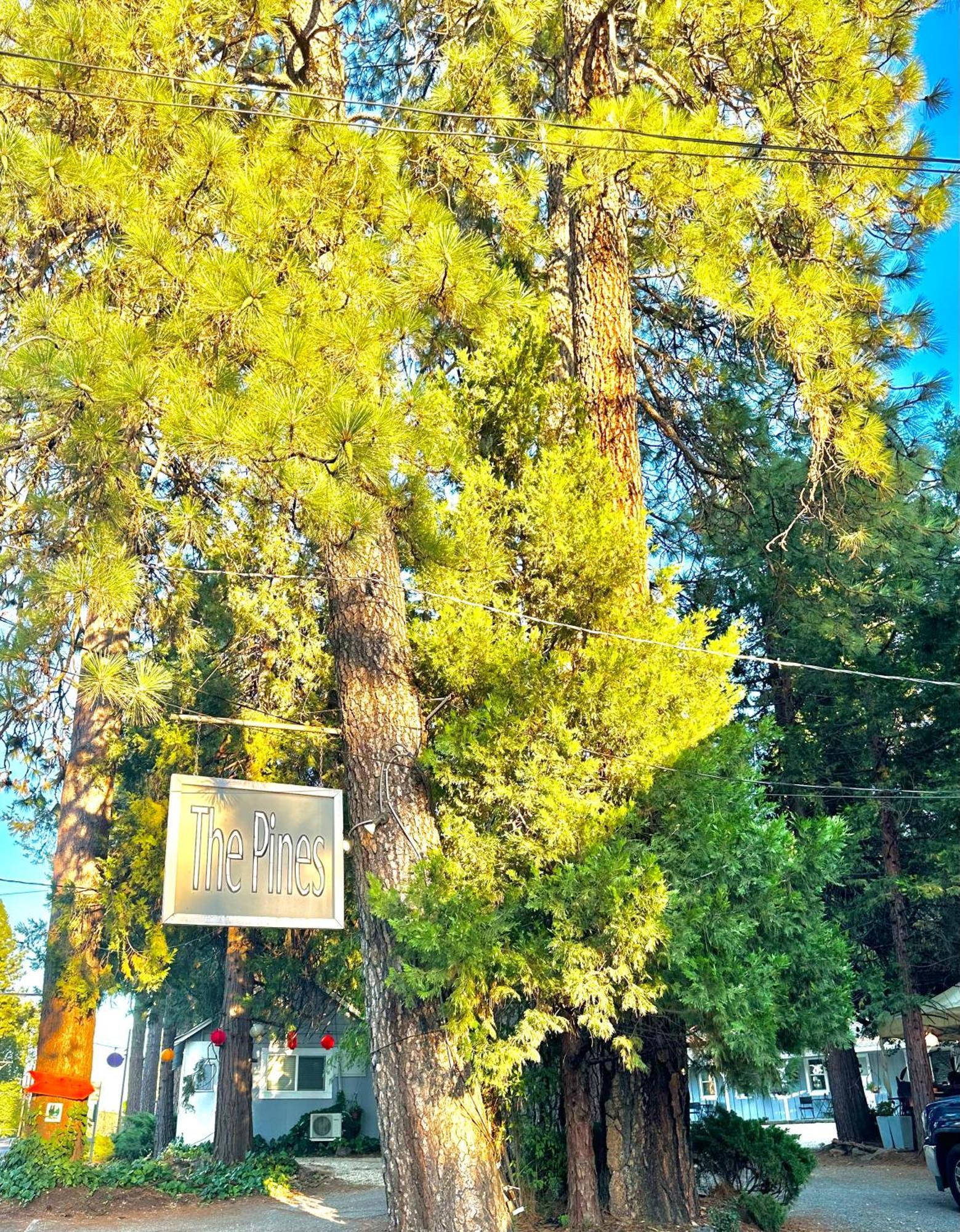 The Pines Inn And Cottages Grass Valley Esterno foto