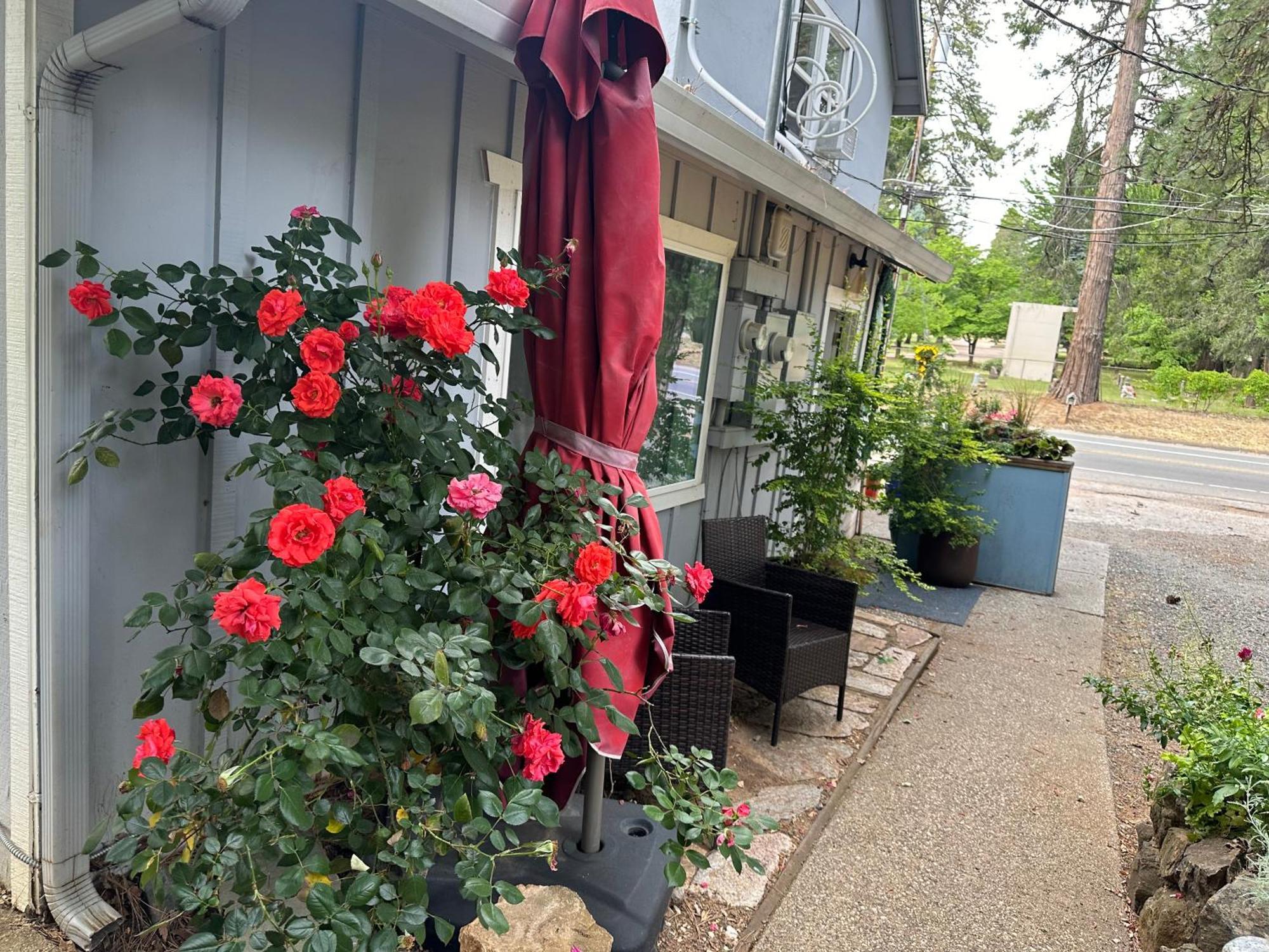 The Pines Inn And Cottages Grass Valley Esterno foto