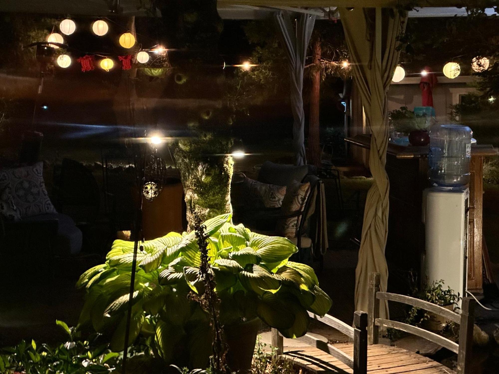 The Pines Inn And Cottages Grass Valley Esterno foto